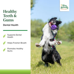 Terry Naturally Beef Liver flavored dog chew is palatable for daily dosing.