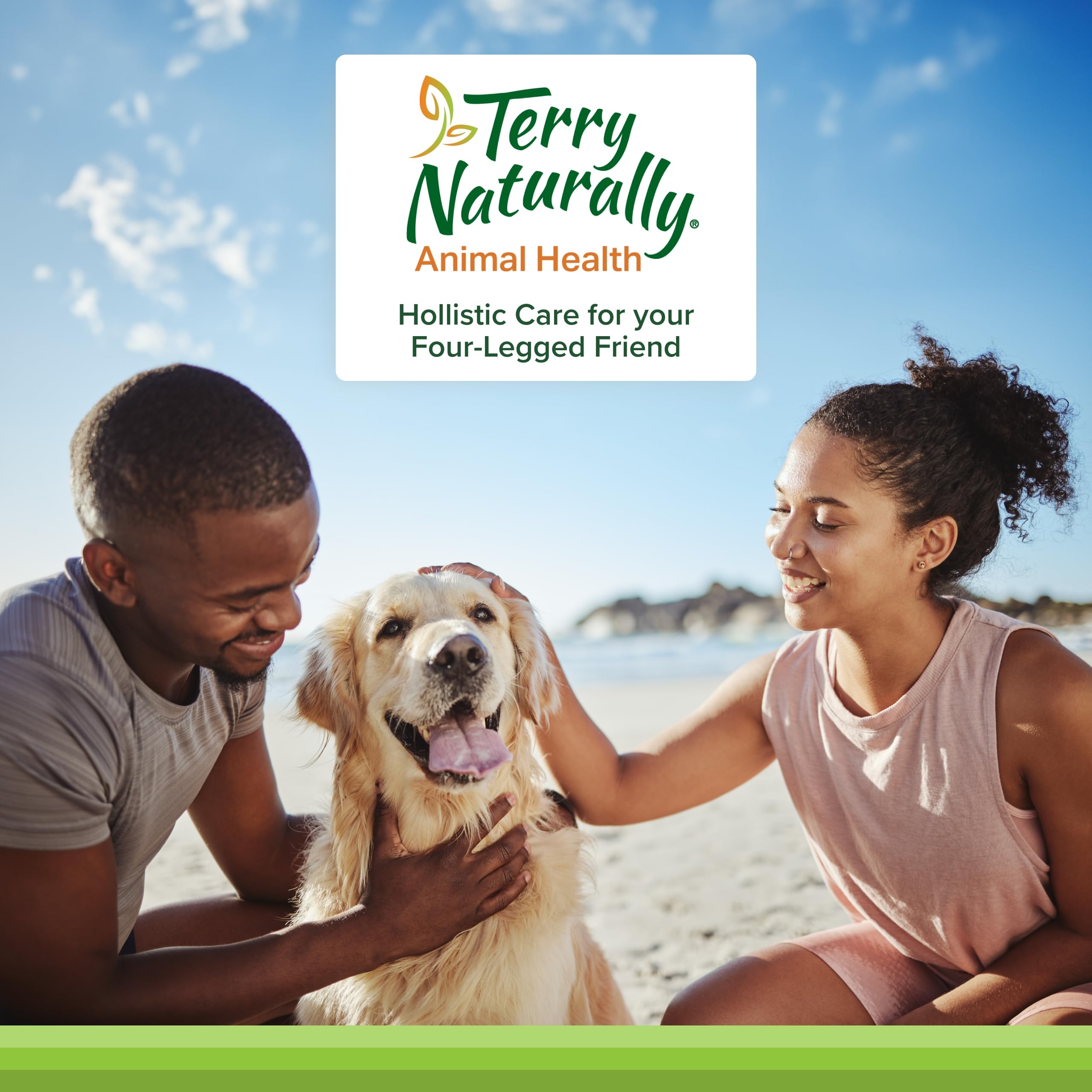 Dog enjoying mealtime with calming supplement as part of routine.