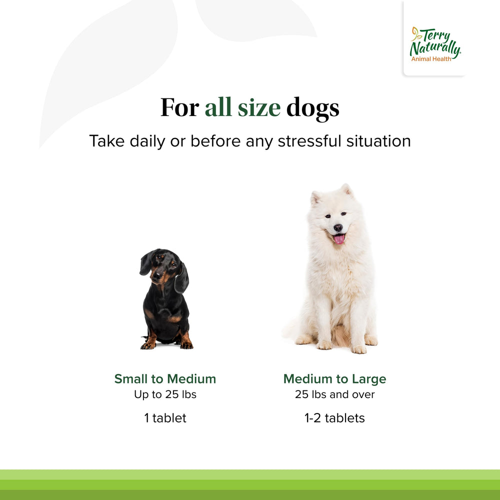 Dog taking a Terry Naturally calming tablet supports daily or pre-stress routines.