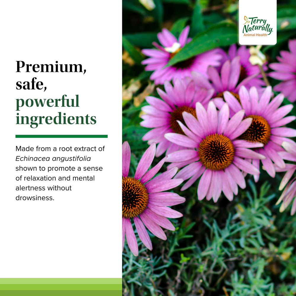 Terry Naturally Calming Formula packaging highlights grain-free and allergen-free formula.