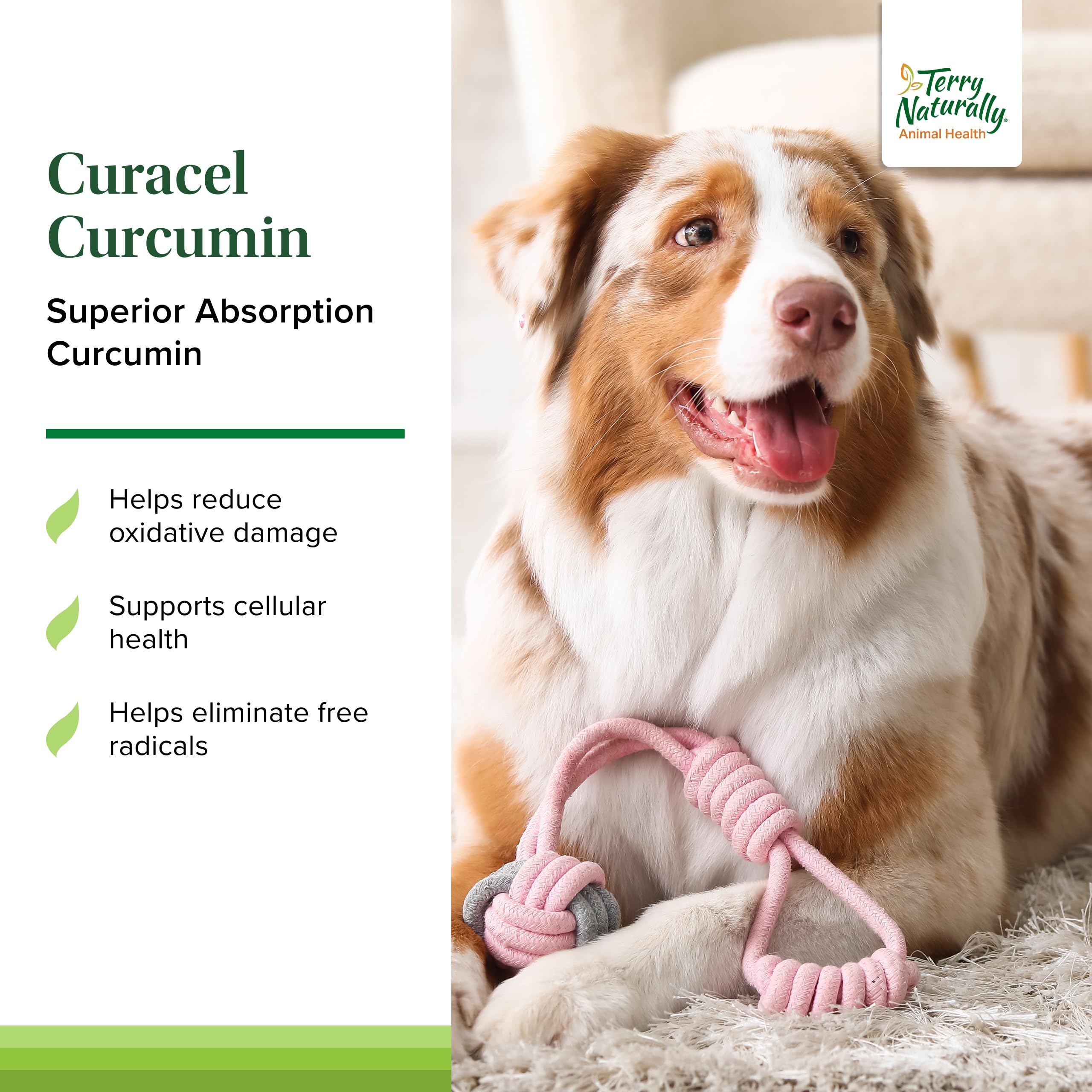 Terry Naturally Curacel Curcumin dog-dosing example with weight-based guidance.