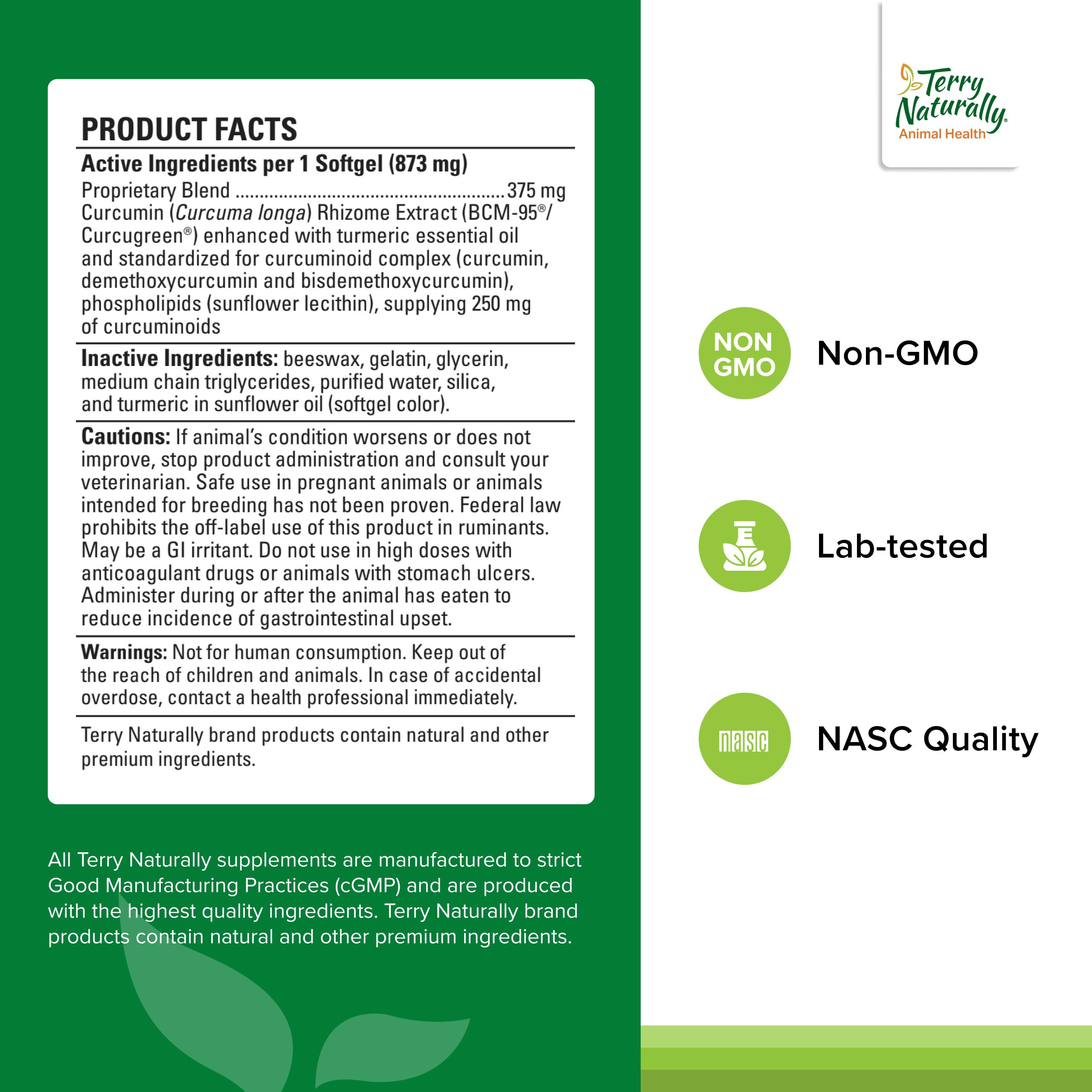 Terry Naturally Curacel Curcumin softgels close-up showing capsule texture and potency.