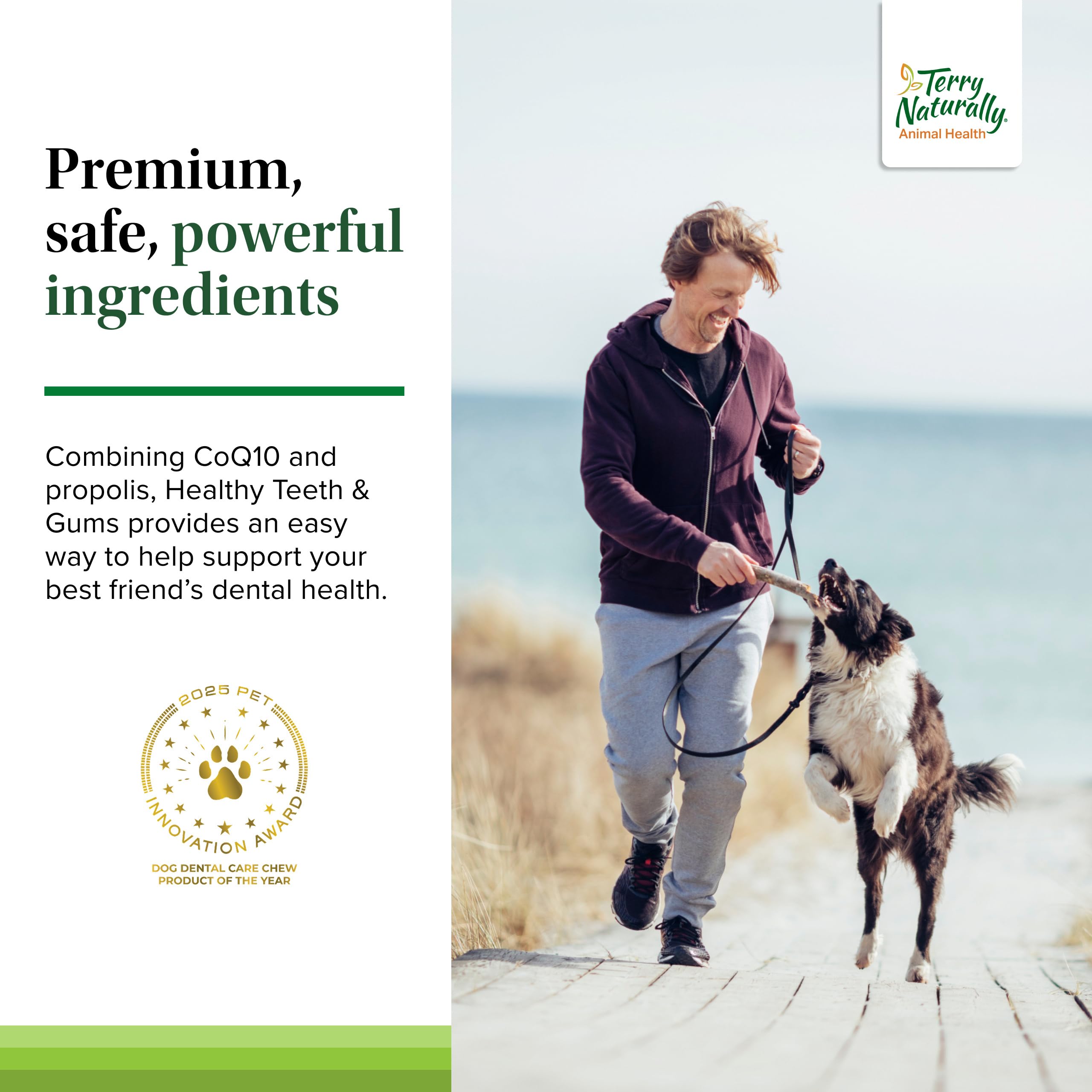 Terry Naturally dog dental health and gums image reflects routine care.