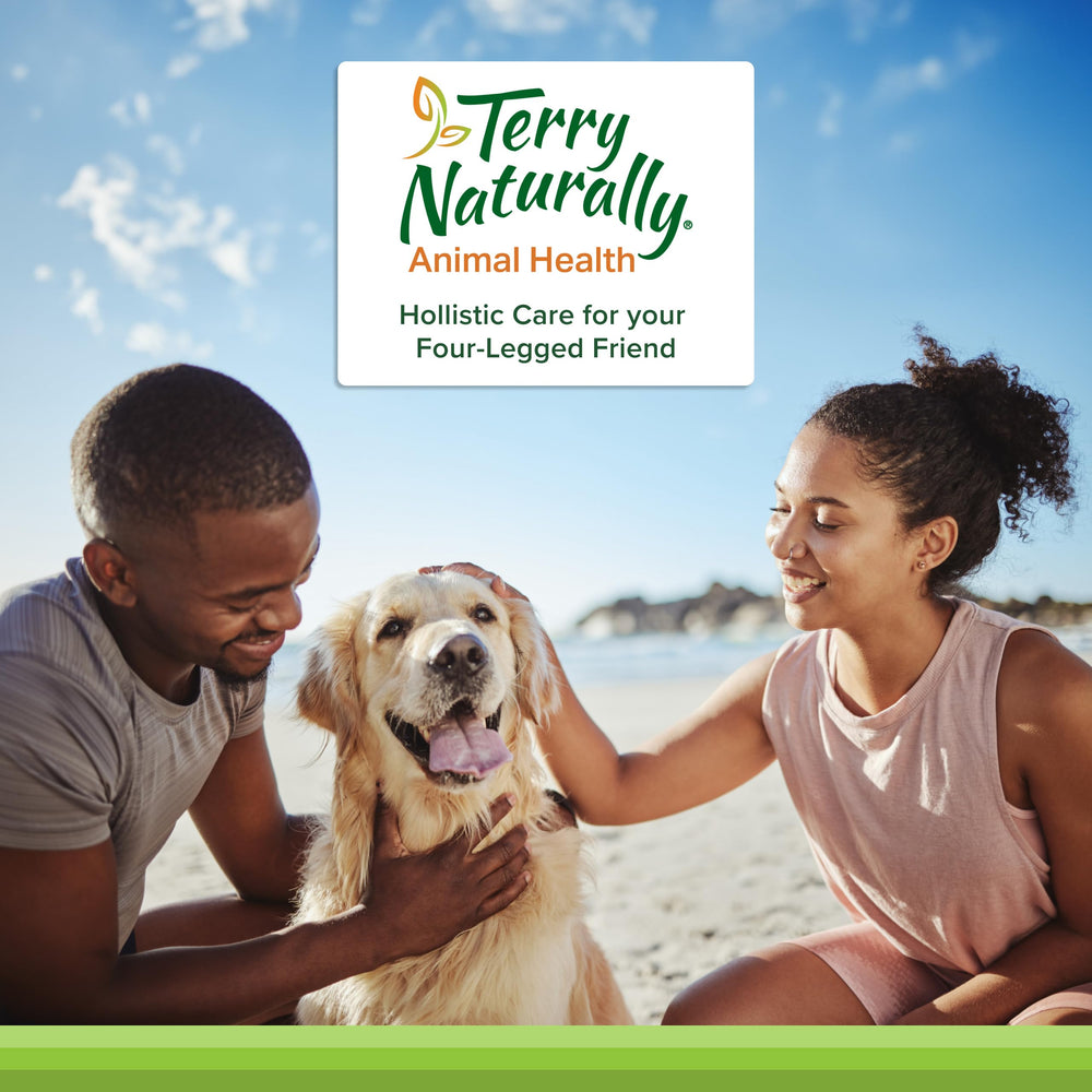 Terry Naturally dog tablets closeup showing chewy texture and flavor.