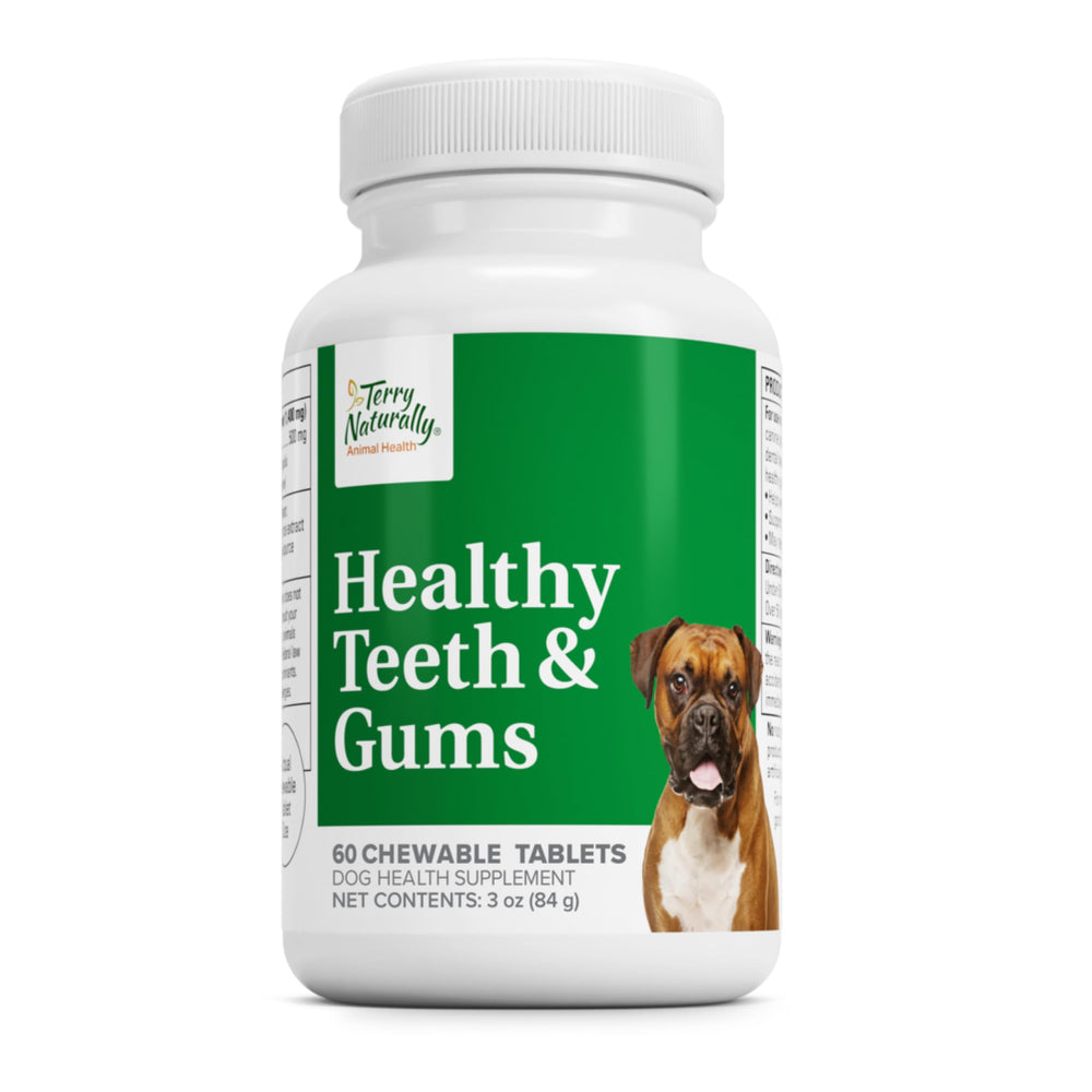 Terry Naturally Healthy Teeth & Gums dog chew supports daily dental care.