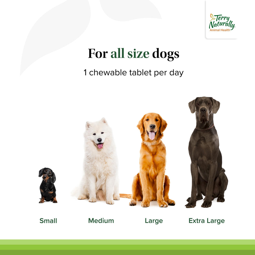 Terry Naturally Probiotic Daily dog chew closeup shows palatable texture aiding daily administration.