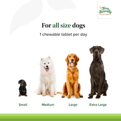 Terry Naturally Probiotic Daily dog chew closeup shows palatable texture aiding daily administration.