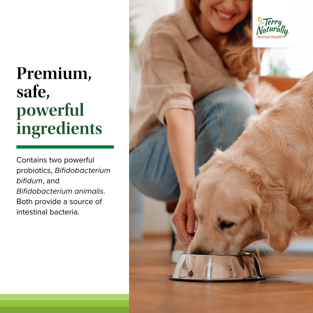 Terry Naturally Probiotic Daily tablets pack demonstrates 60 chewables for ongoing gut balance.