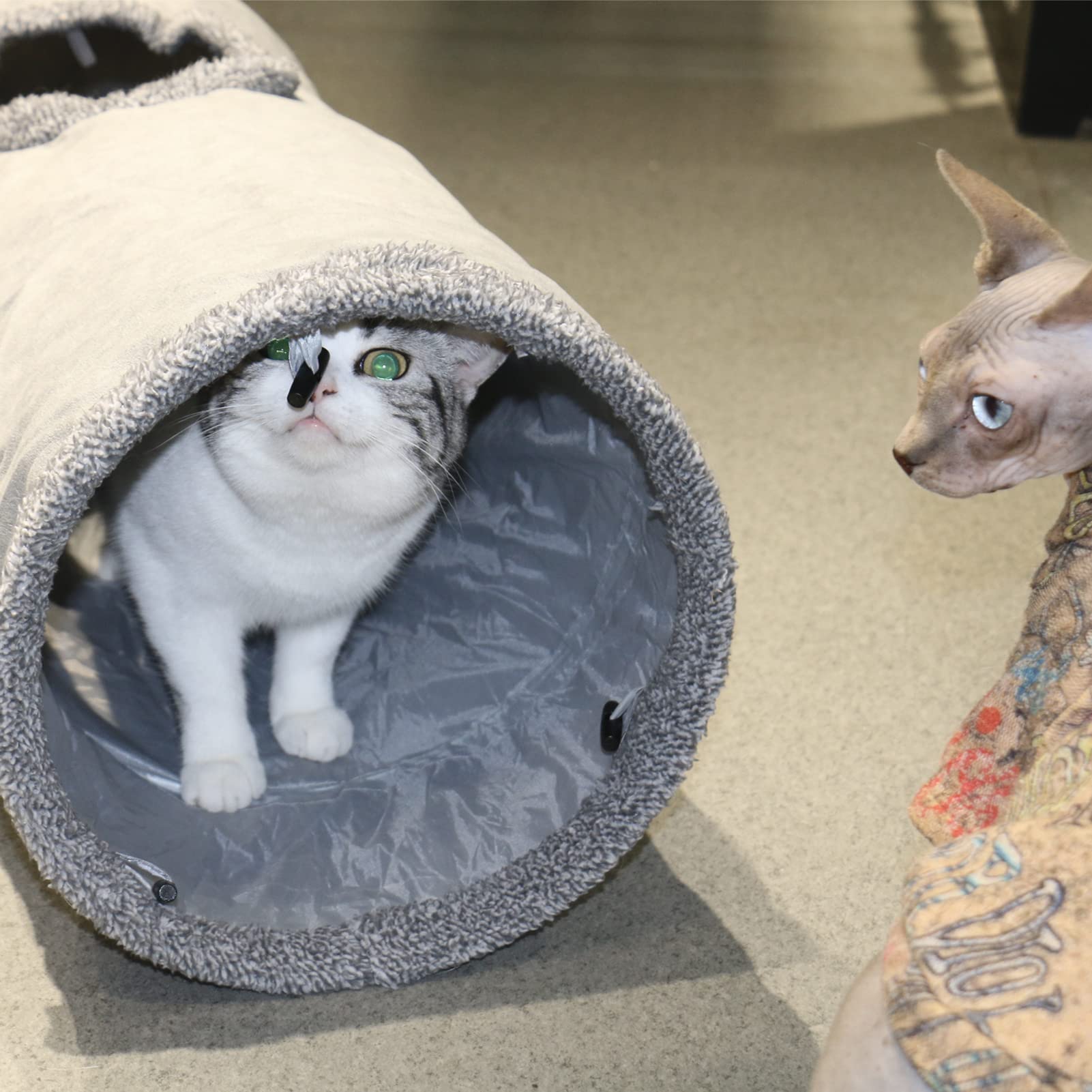 Terunat Cat Tunnel foldable design simplifies storage and setup.