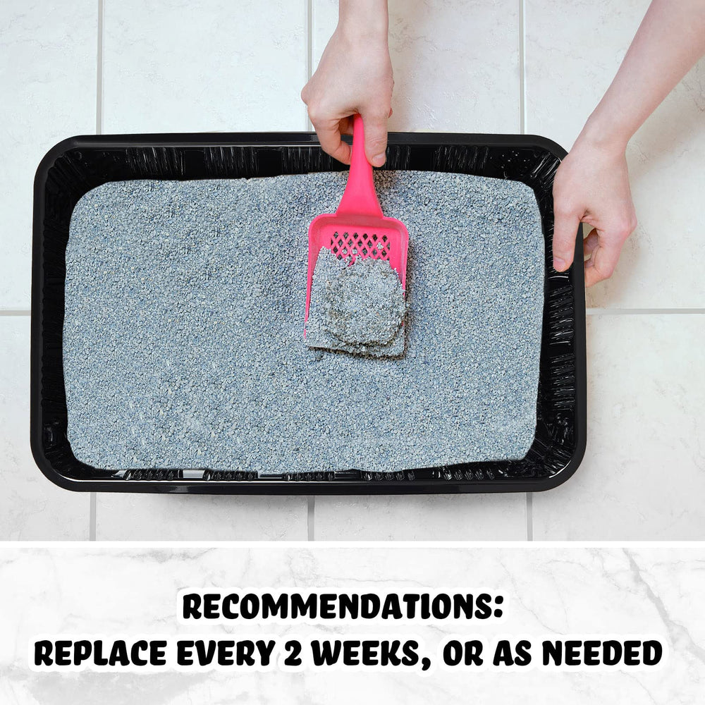 Tessco for you small-pets litter tray demonstrates versatility for kittens and small companions