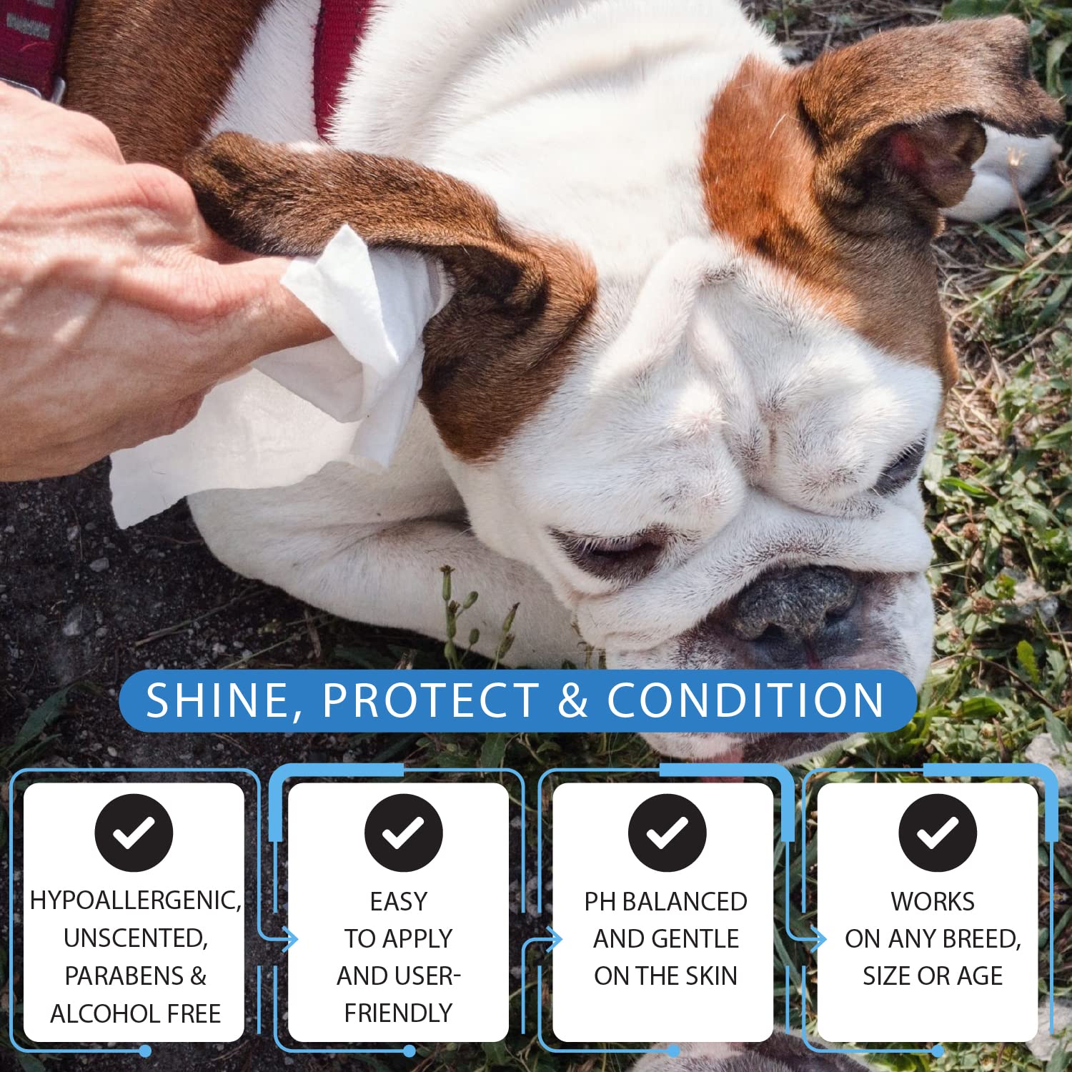 Tetesol dog wipes face-nose-eyes for fast facial refresh on the go.