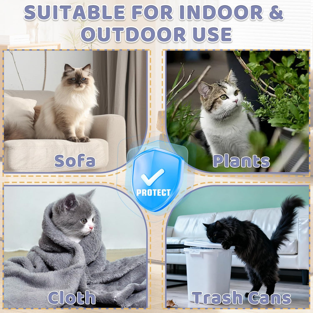 Tetra No Scratch Spray on floors to maintain pet-friendly surfaces.