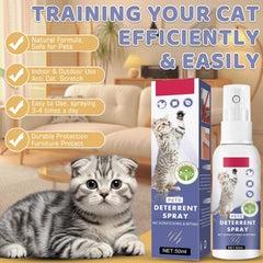 Tetra No Scratch Spray on plants helps keep chews away.