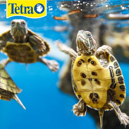 Tetra ReptoMin floating food sticks in dish ready-to-feed turtles promoting growth.