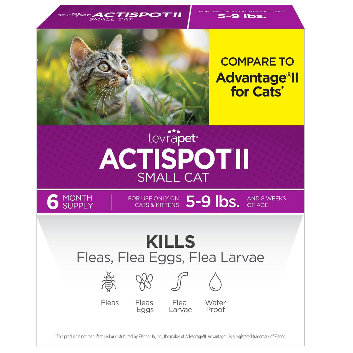 TevraPet Actispot II flea-kill on cat provides fast topical protection.