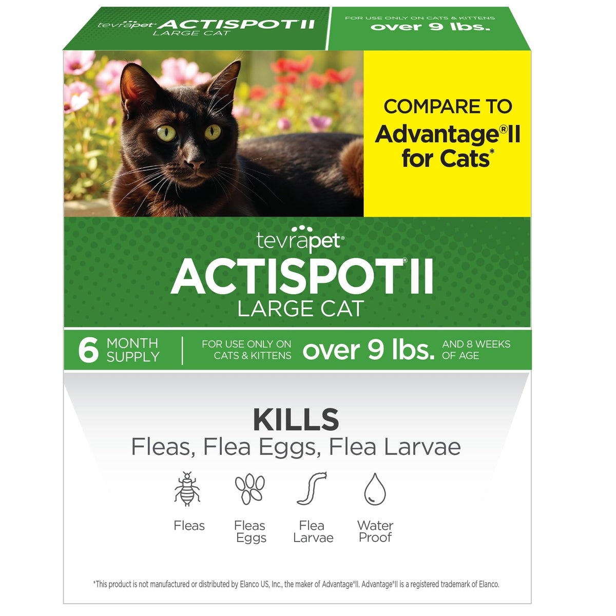 TevraPet Actispot II large-cat application for easy topical flea protection.