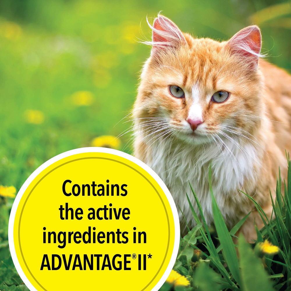 TevraPet Actispot II six-doses-pack emphasizes extended coverage.