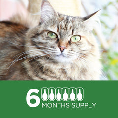 TevraPet Actispot II waterproof topical for cats who swim or bathe.