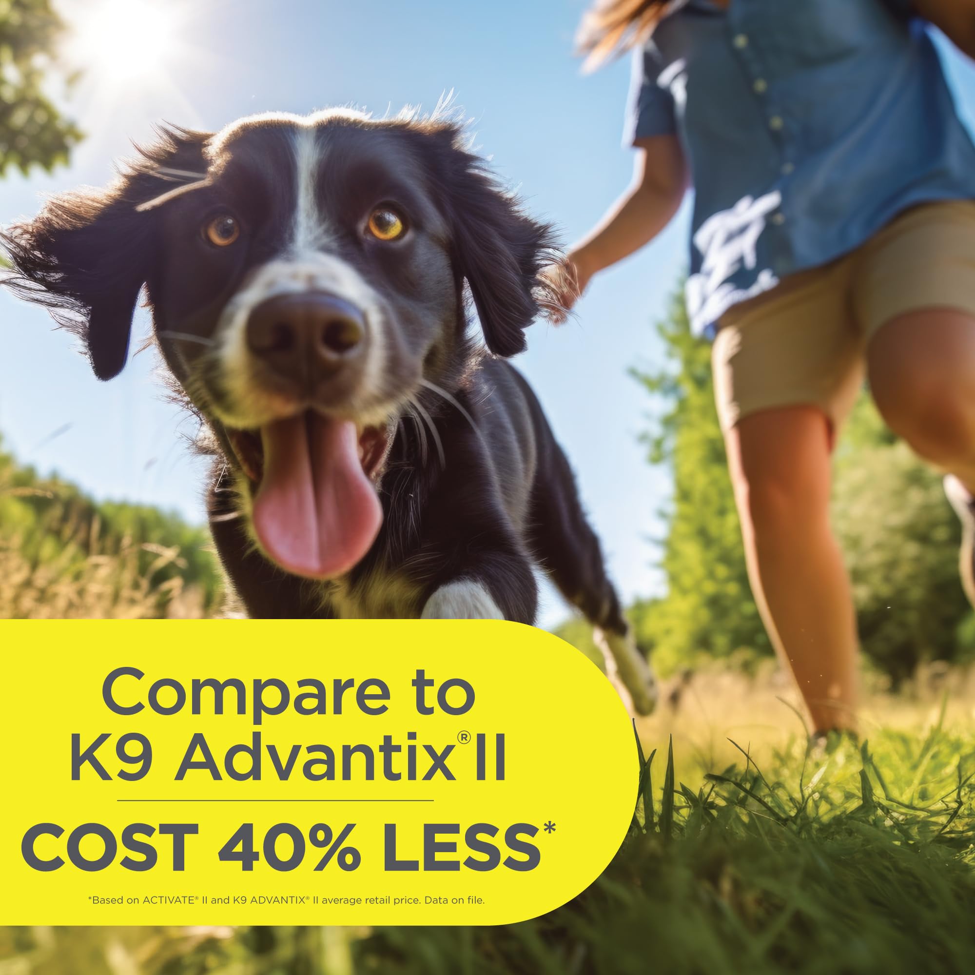 TevraPet Activate II bottle near neck application demonstrates easy topical dosing.