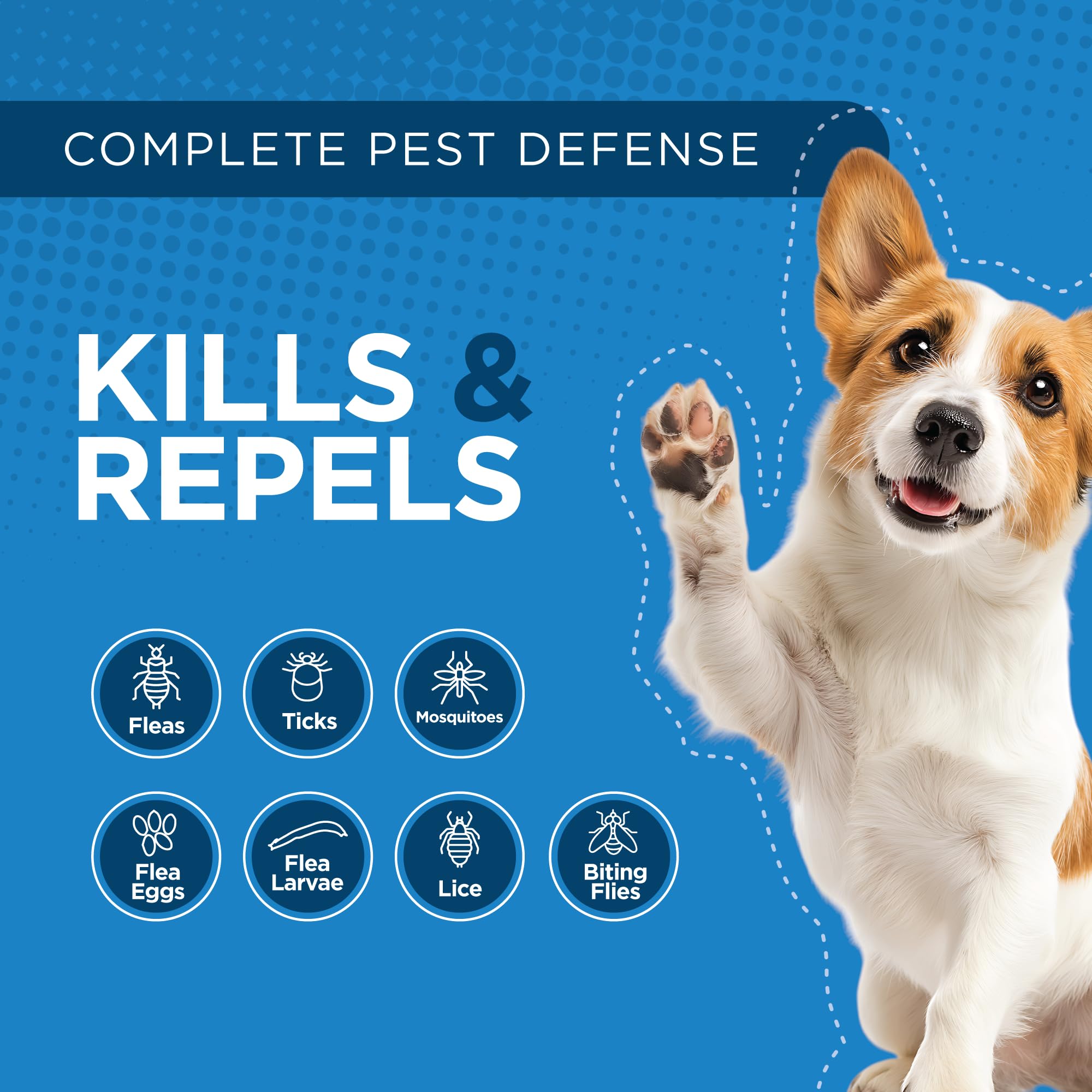 TevraPet Activate II dog illustration signals flea and tick prevention awareness.