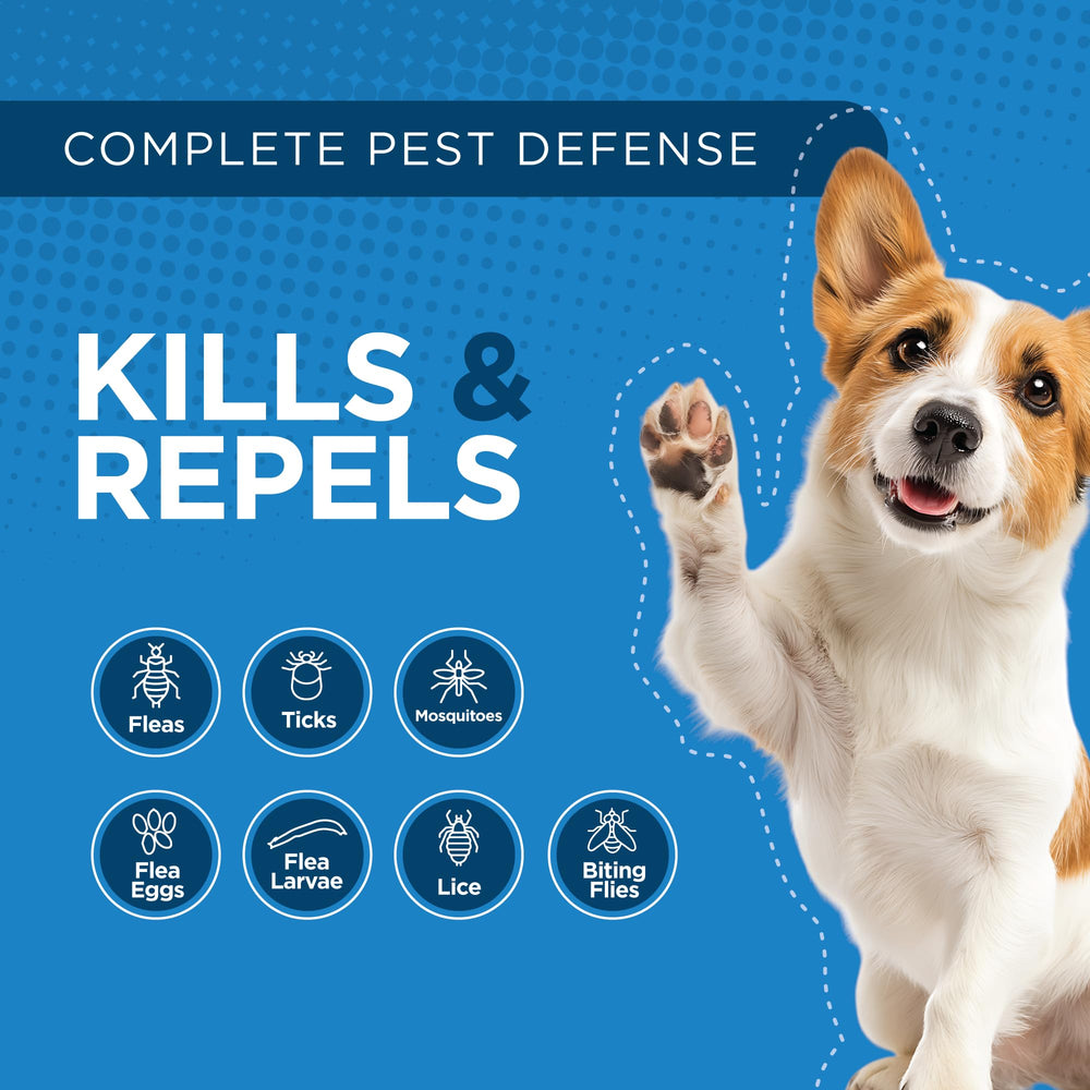 TevraPet Activate II dog illustration signals flea and tick prevention awareness.