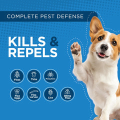 TevraPet Activate II dog illustration signals flea and tick prevention awareness.
