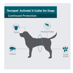 TevraPet Activate II collar on dog illustrates mess-free, no-bite protection in daily life.