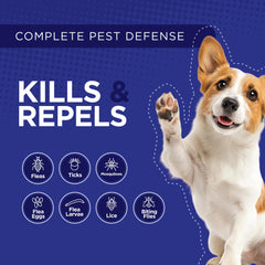 TevraPet Activate II kills fleas on contact for fast relief