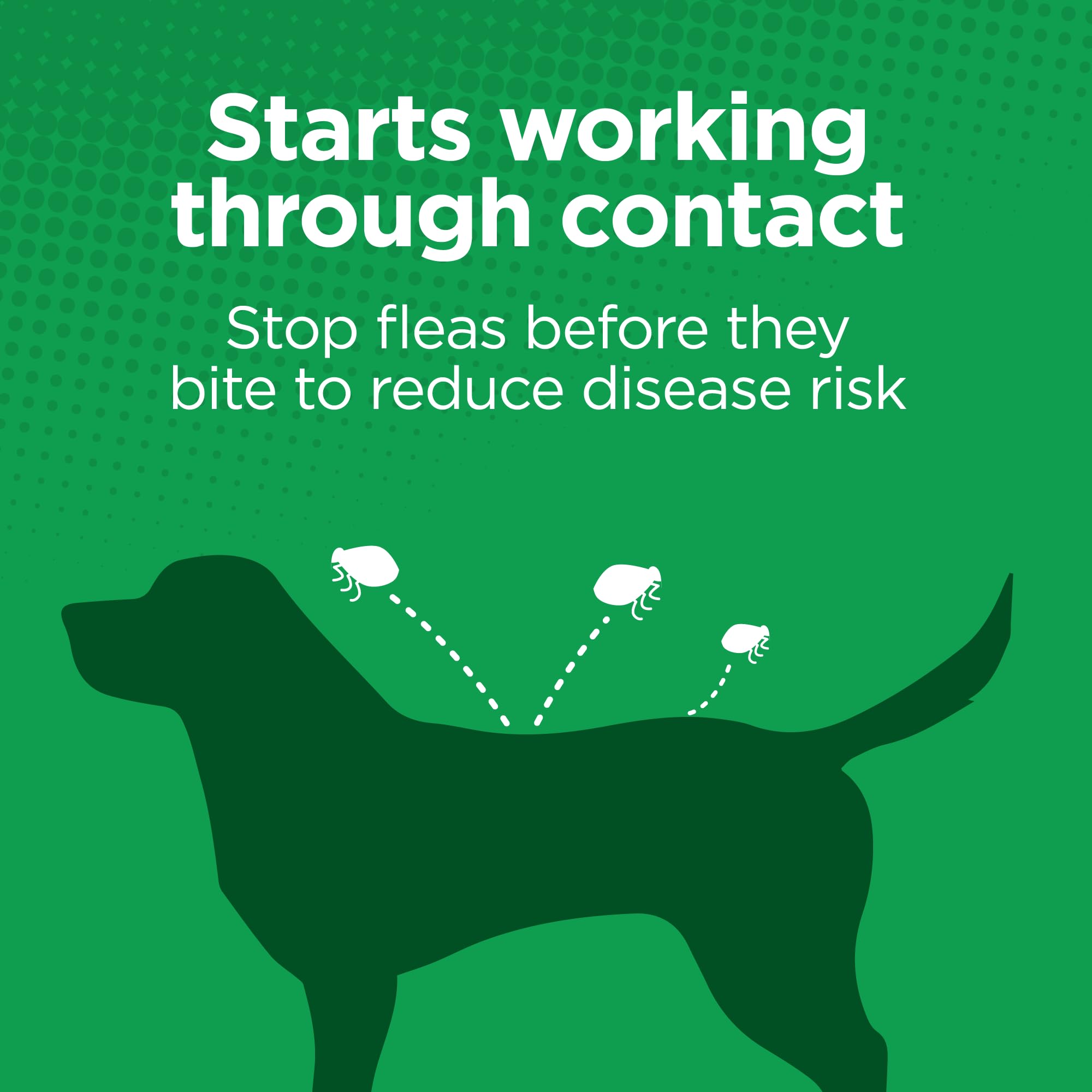 TevraPet Activate II 30-day protection supports a simple monthly routine.