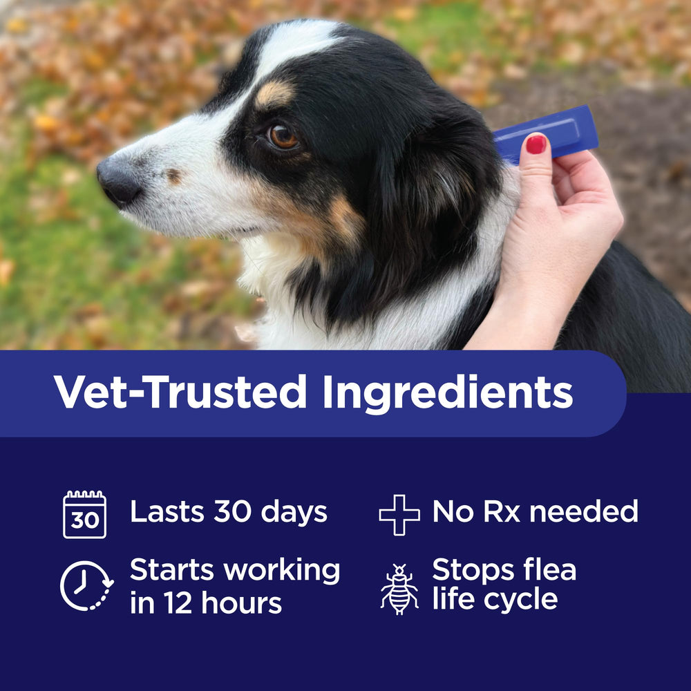 TevraPet Activate II provides tick protection and broad pest coverage