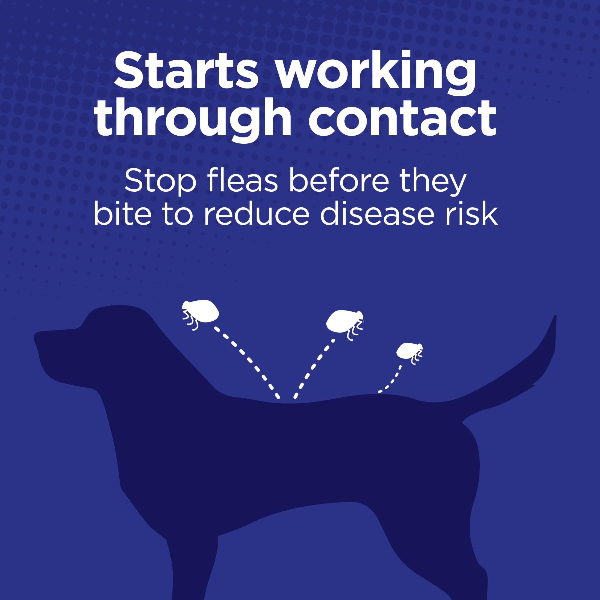 TevraPet Activate II waterproof drops on a dog’s coat during activity