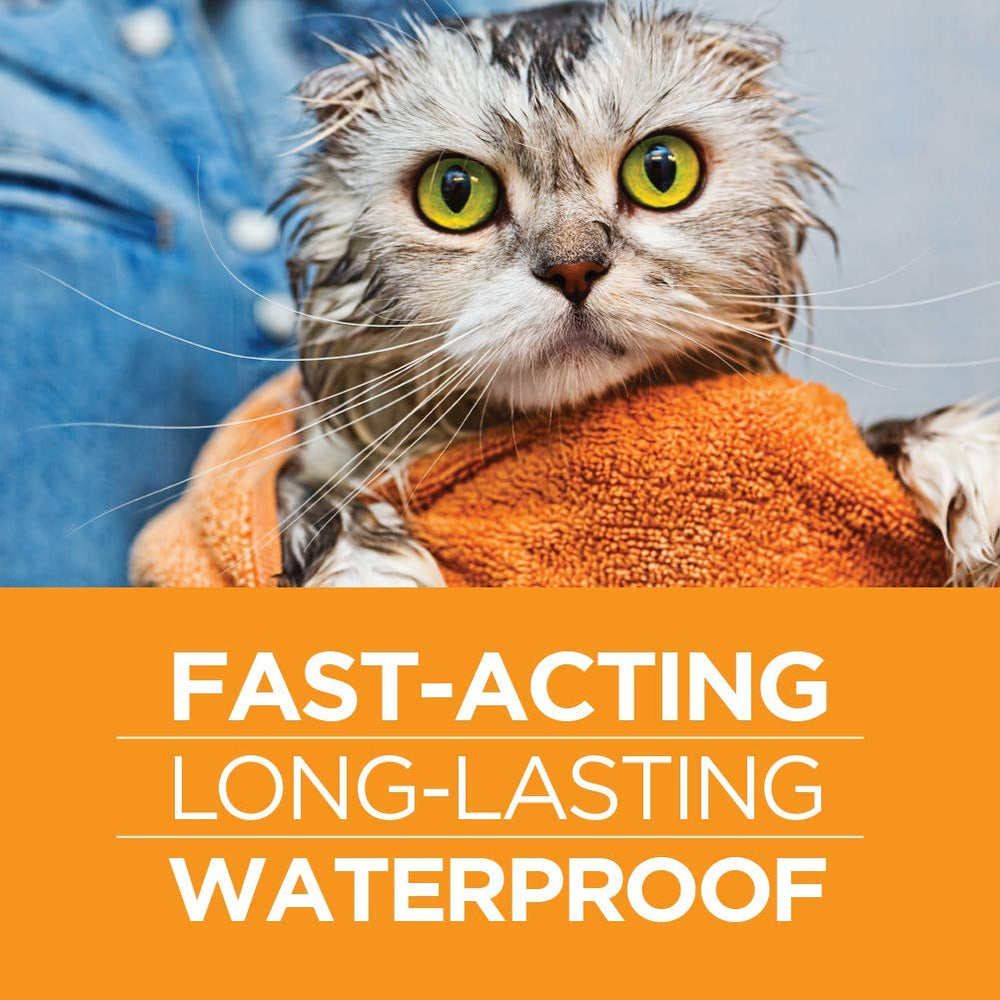 TevraPet FirstAct Plus age-range all-life-stages icon