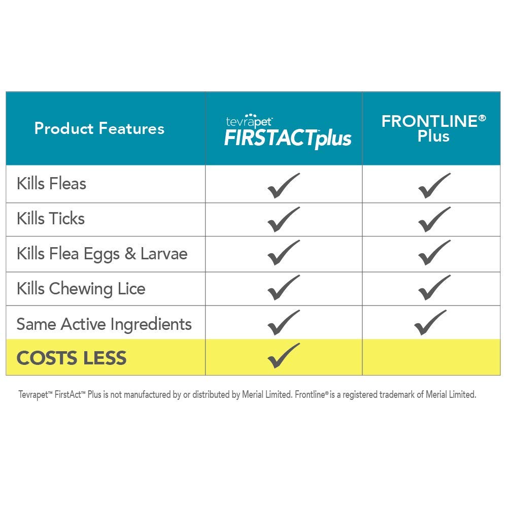 TevraPet FirstAct Plus applicator shown for precise dosing on a cat