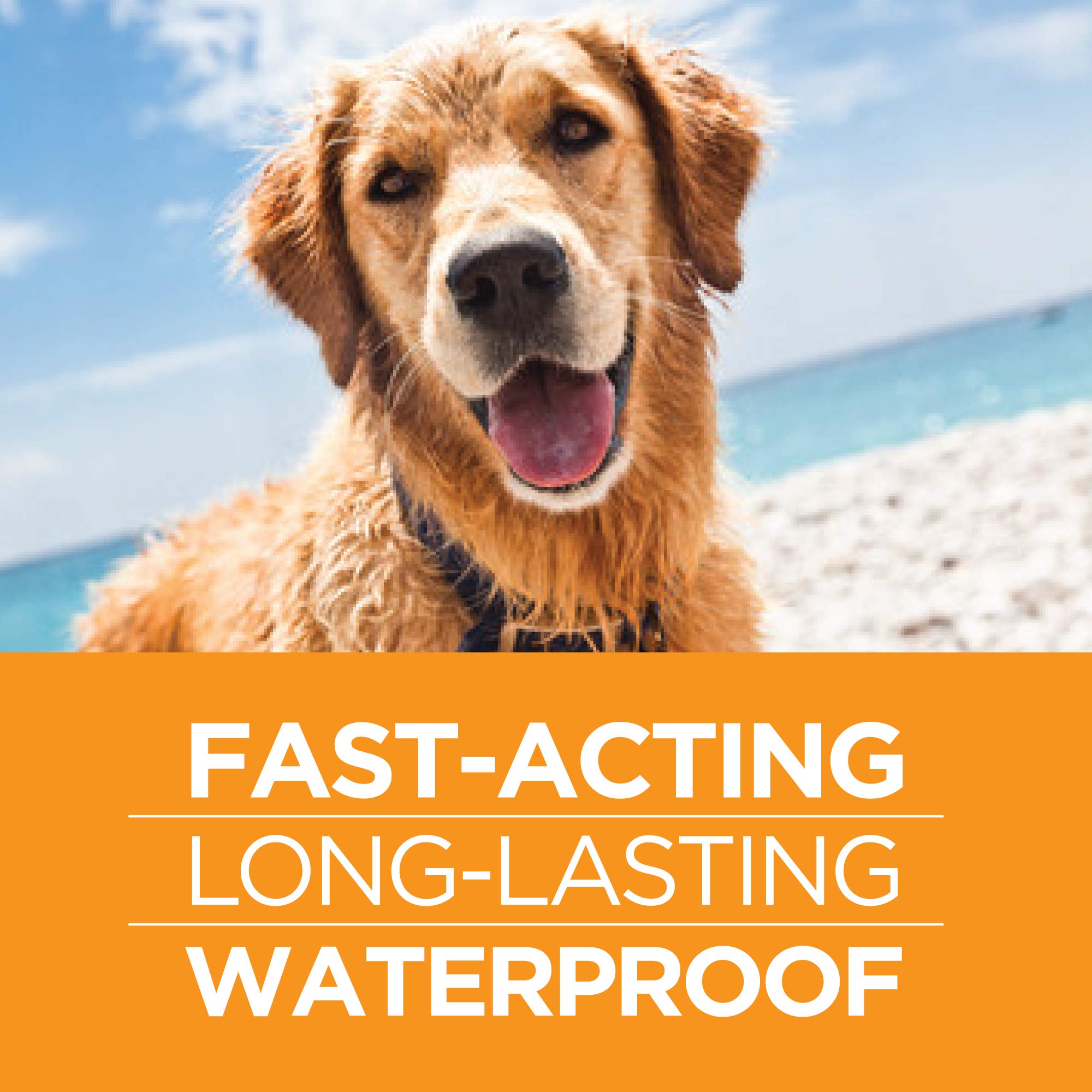 TevraPet FirstAct Plus German-made quality dosing.