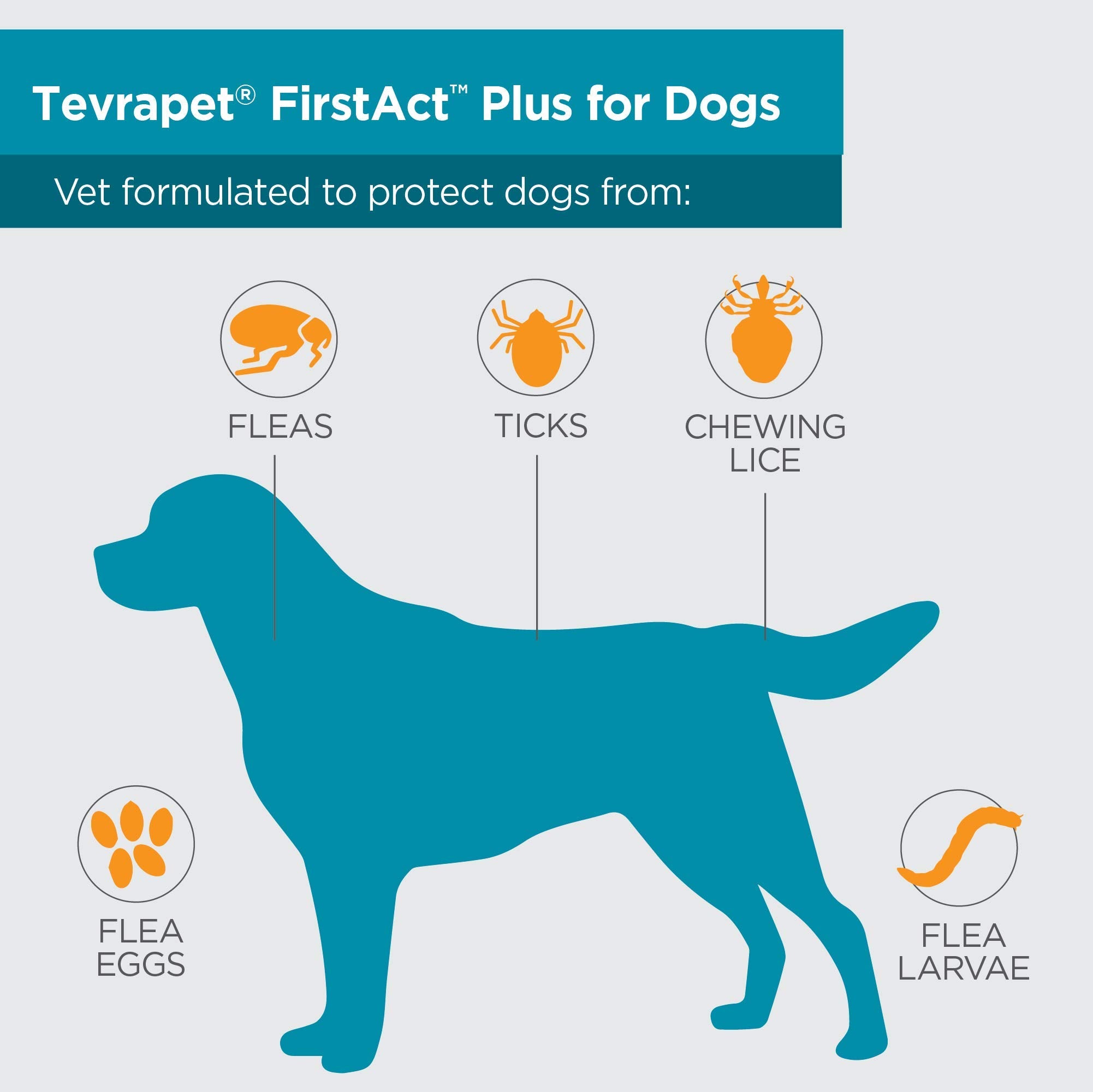 TevraPet FirstAct Plus bottle highlighting fipronil and s-methoprene for fast control