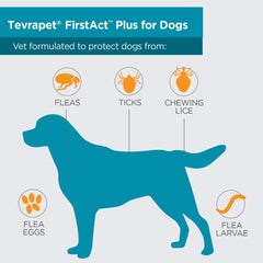 TevraPet FirstAct Plus image shows targeted action on fleas, ticks, and eggs for control.