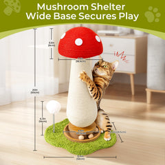 TEWIWAP mushroom scratcher featuring spring ball toys to stimulate hunting instincts
