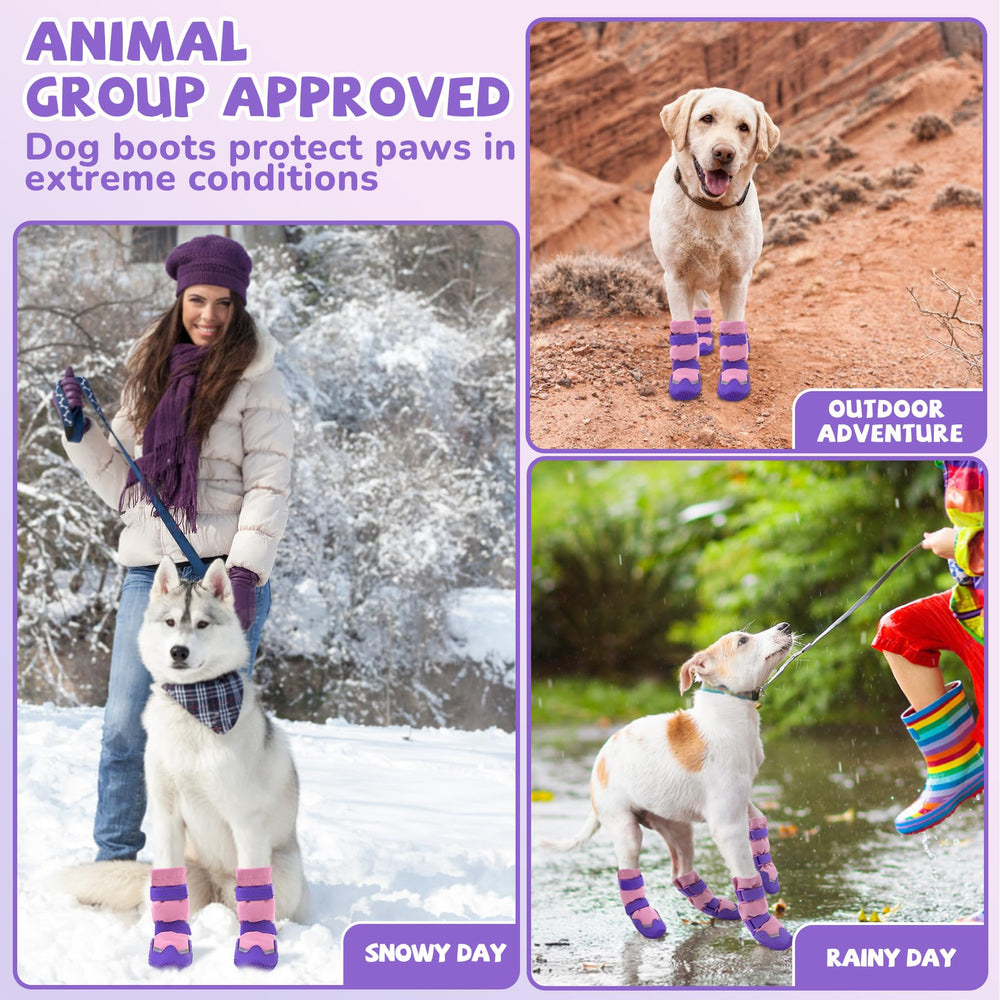 TEWIWAP size chart helps correct paw measurement for fit