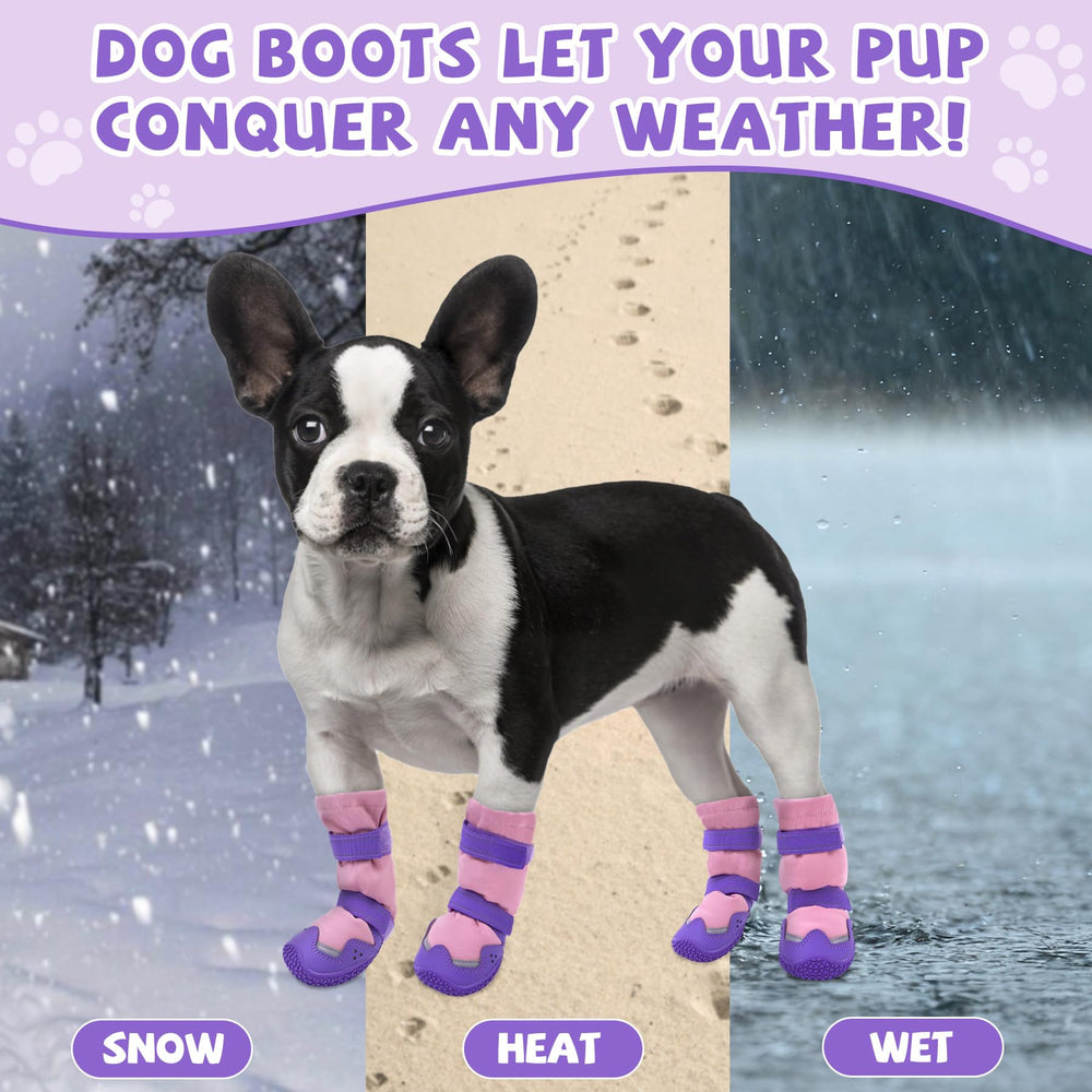 TEWIWAP dog boots on snowy trail ready for winter hiking