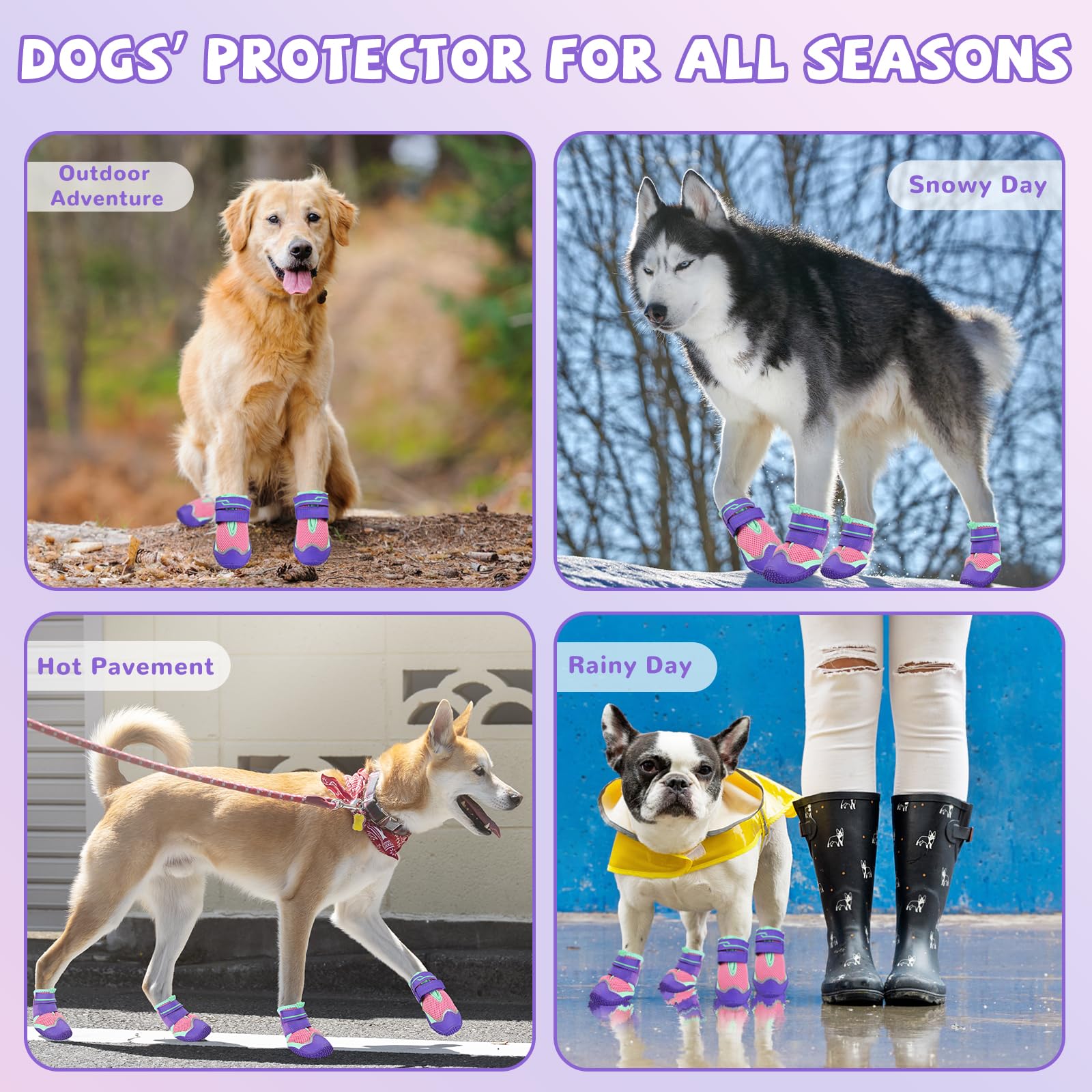 TEWIWAP dog shoes suitable for winter hiking and beach outings.