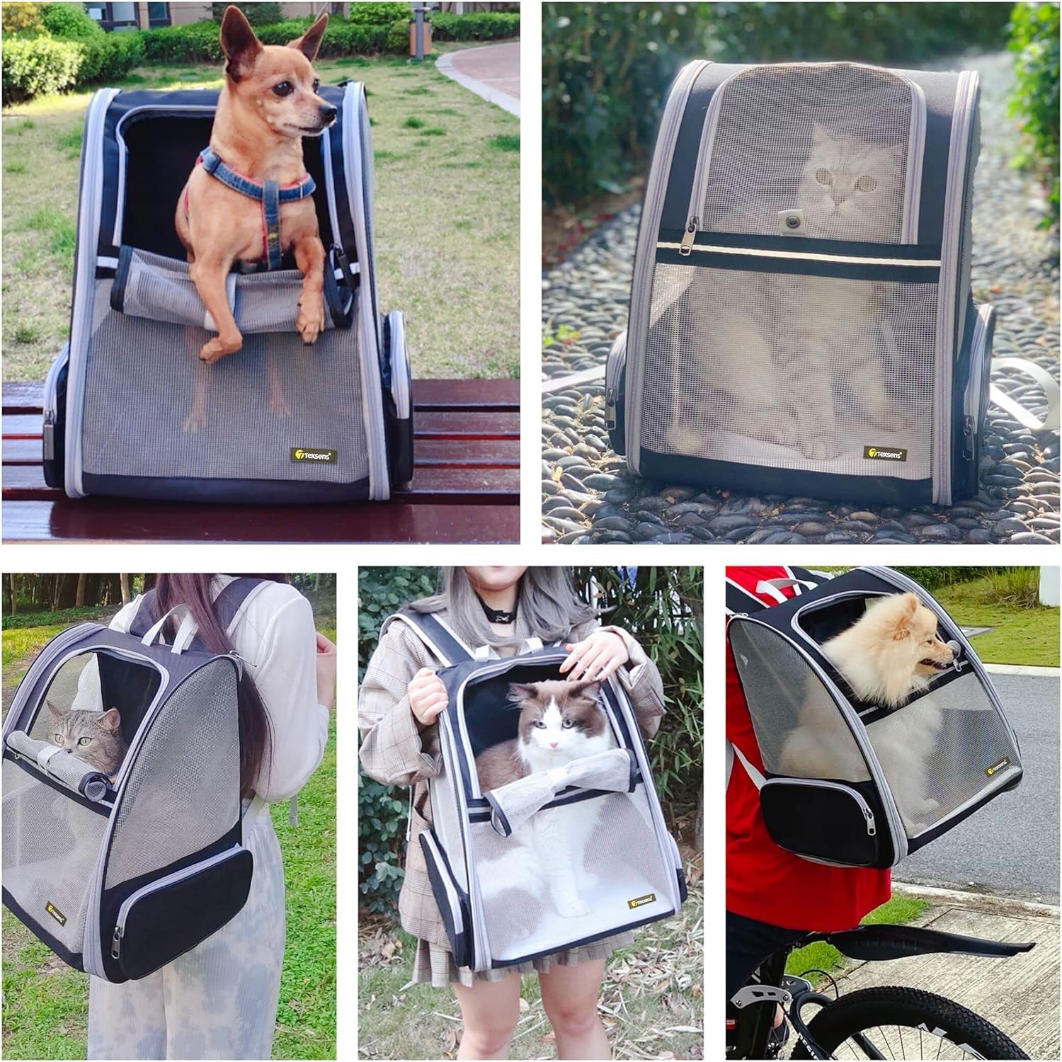 Texsens cat backpack airline approved ready for travel with secure positioning.