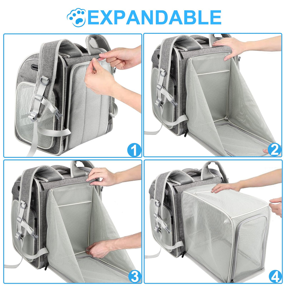 Texsens cat backpack chest buckles and straps reduce load and keep straps secure.