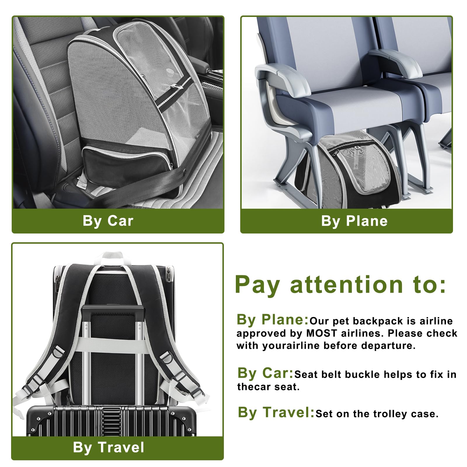Texsens cat backpack chest buckles reduce load and prevent slipping during adventures.