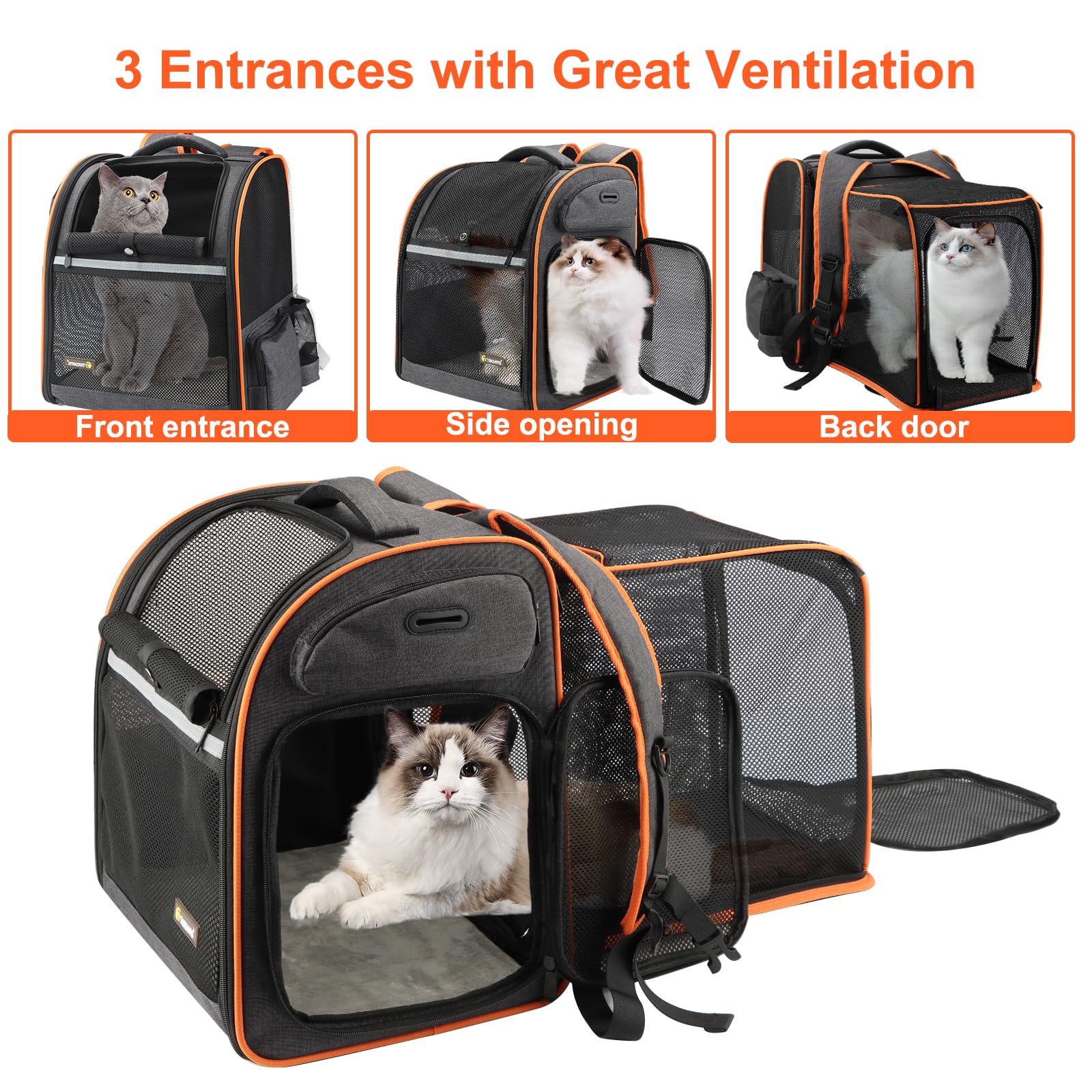 Texsens cat backpack dimensions guide helps ensure proper pet fit
