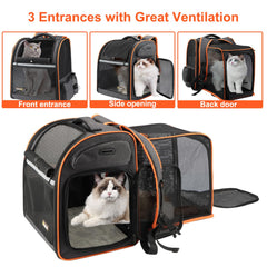Texsens cat backpack dimensions guide helps ensure proper pet fit