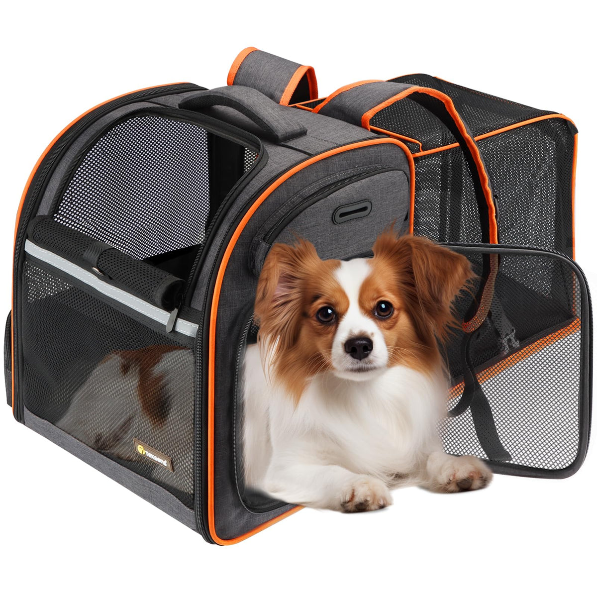 Texsens cat backpack expandable tunnel for travel comfort