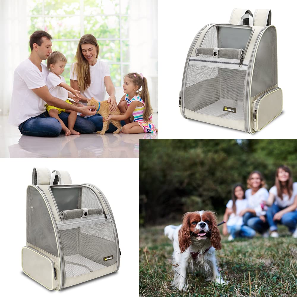 Texsens pet-backpack carrier dimensions ensure fit for cats up to 18 lbs