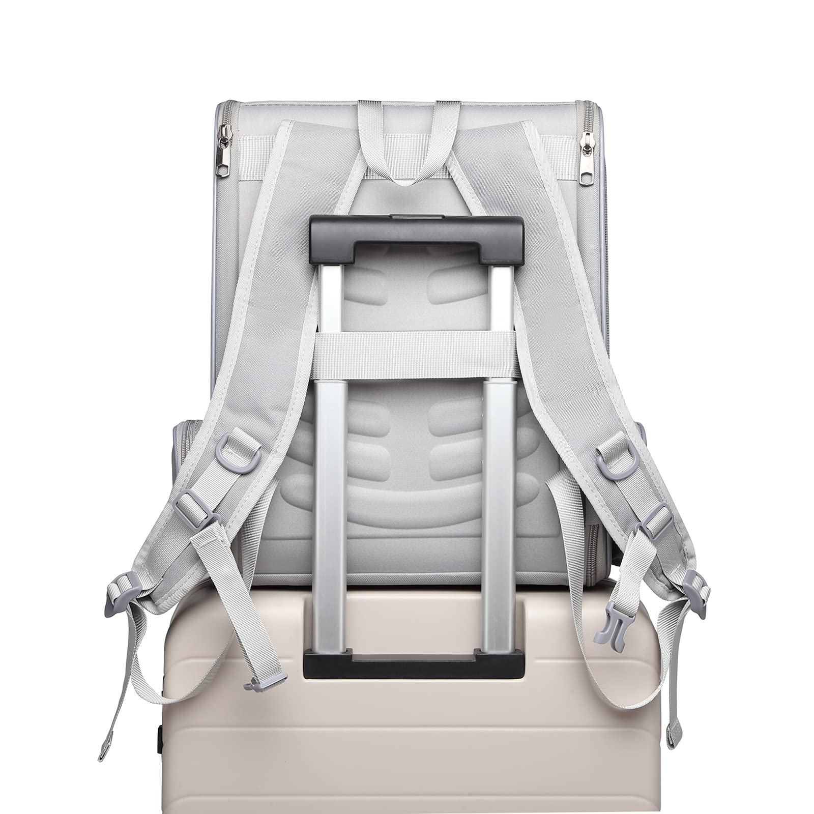 Texsens carrier durable and scratch-resistant for long-term use