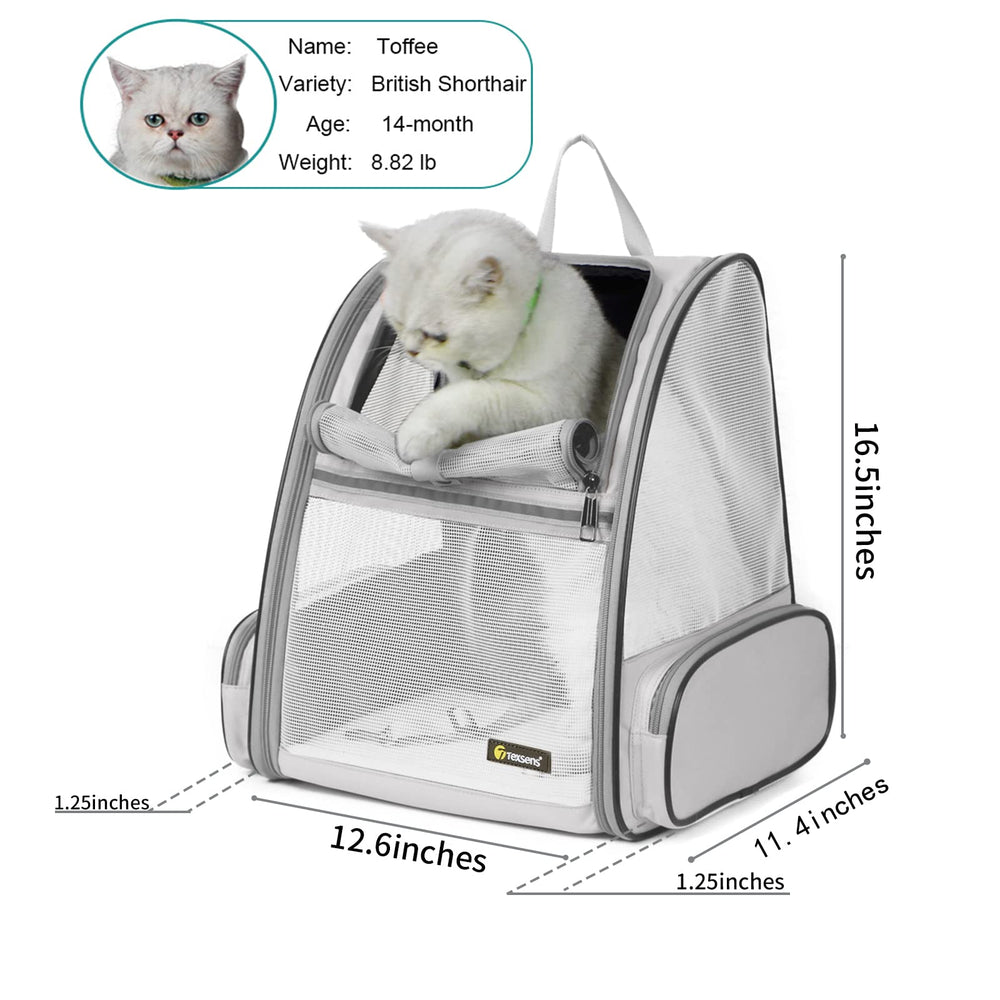 Texsens carrier safety straps keep your pet secure on hikes