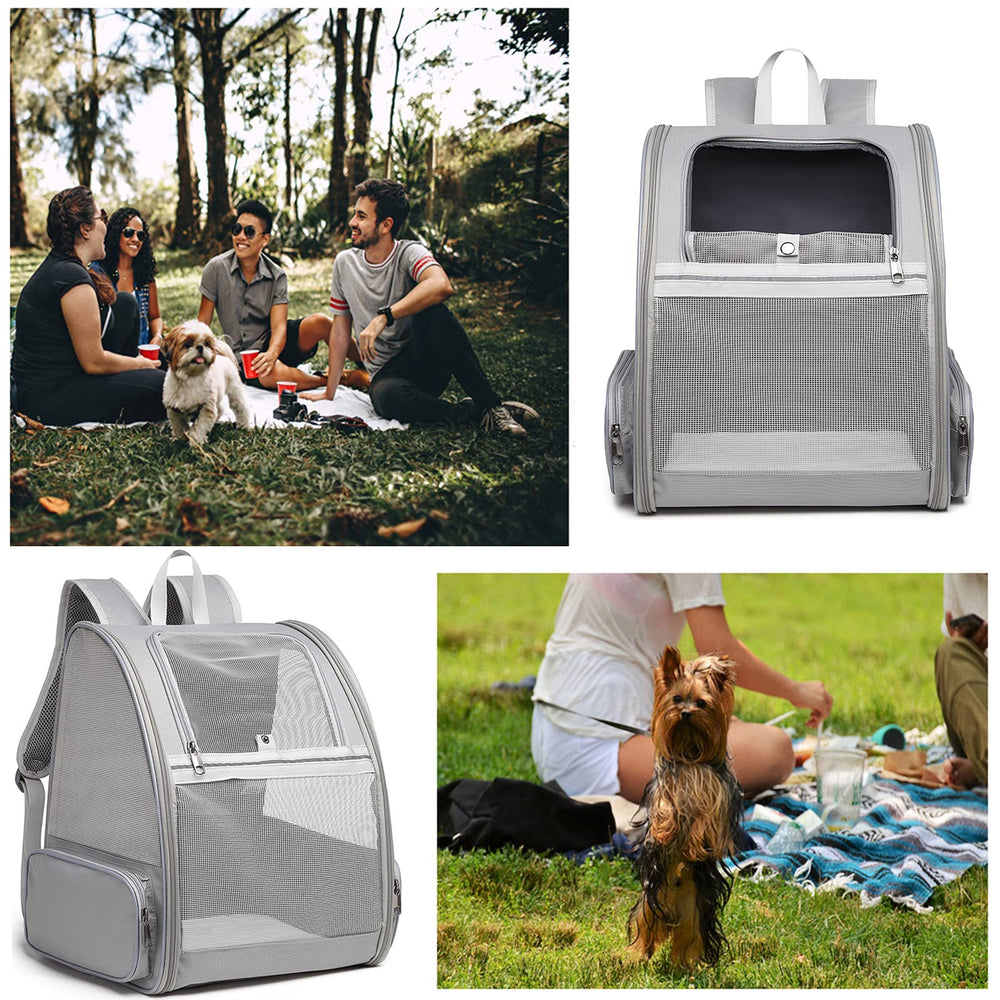Texsens carrier in outdoor travel scene demonstrates portable design
